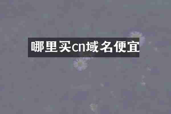 哪里买cn域名便宜