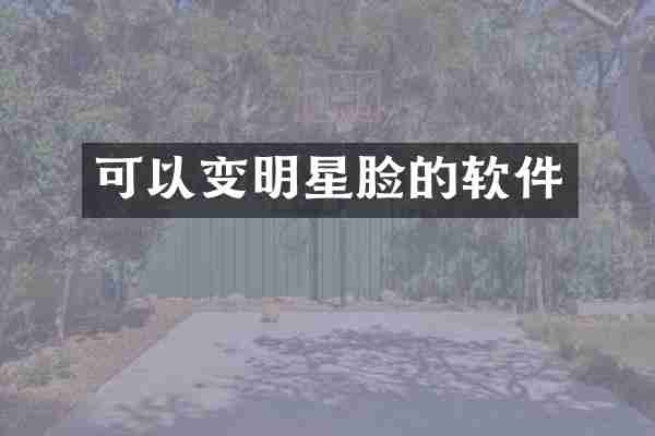 可以变明星脸的软件