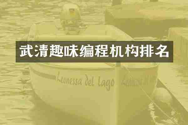 武清趣味编程机构排名
