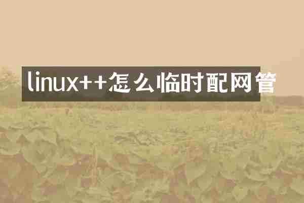 linux++怎么临时配网管