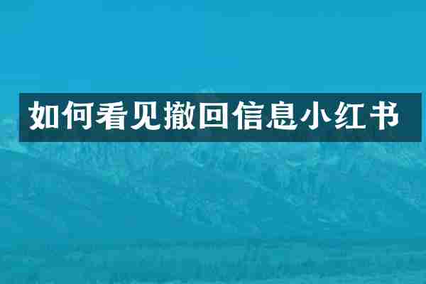 如何看见撤回信息小红书