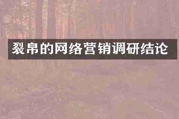 裂帛的网络营销调研结论