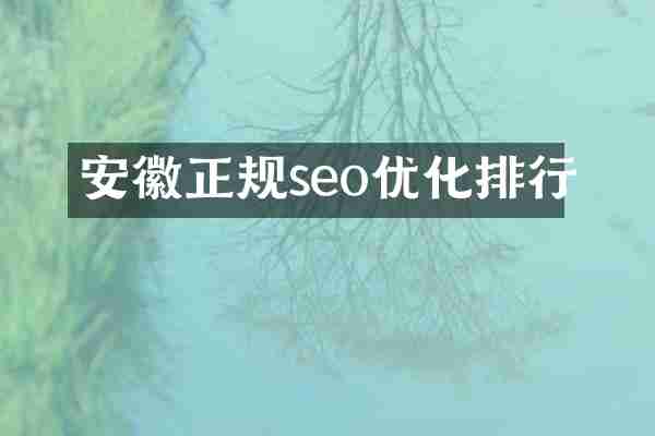 安徽正规seo优化排行