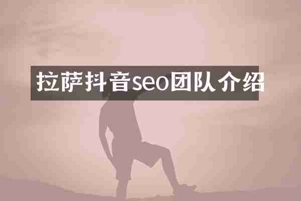 拉萨抖音seo团队介绍