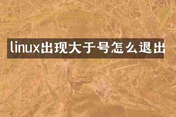 linux出现大于号怎么退出