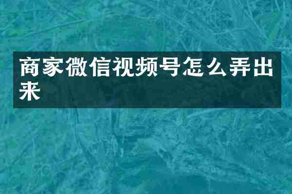 商家微信视频号怎么弄出来