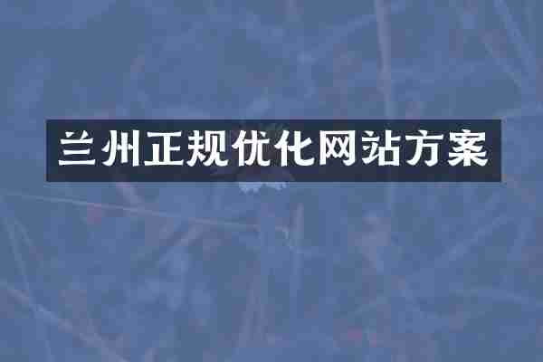 兰州正规优化网站方案