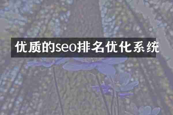 优质的seo排名优化系统