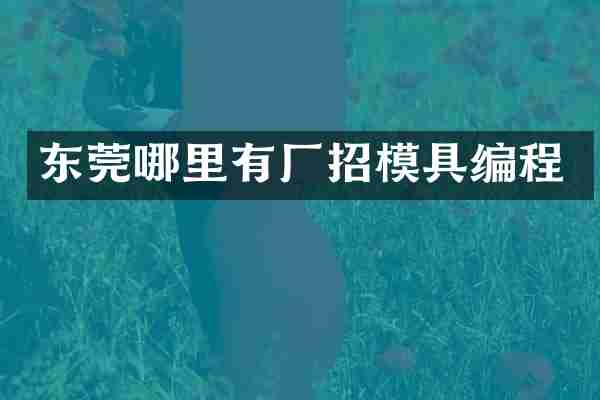 东莞哪里有厂招模具编程