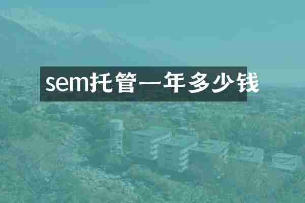 sem托管一年多少钱