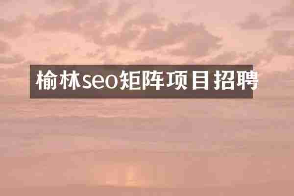 榆林seo矩阵项目招聘