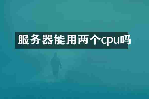 服务器能用两个cpu吗