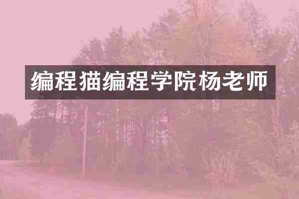 编程猫编程学院杨老师