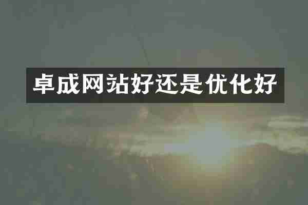 卓成网站好还是优化好