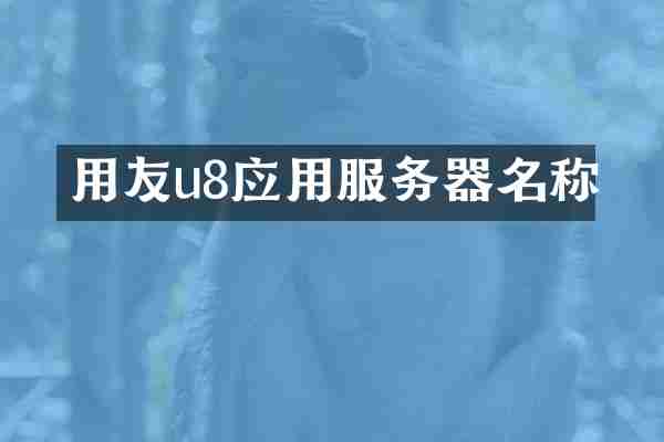 用友u8应用服务器名称