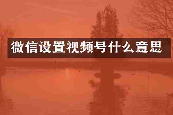 微信设置视频号什么意思