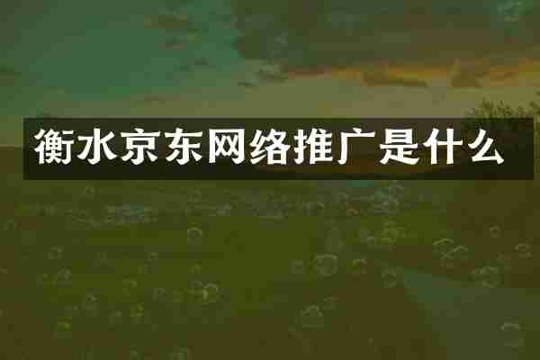 衡水京东网络推广是什么