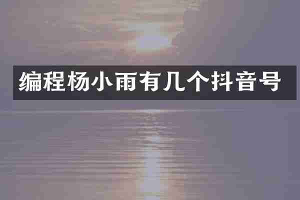 编程杨小雨有几个抖音号