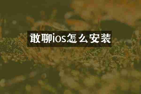 敢聊ios怎么安装