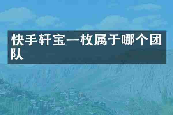快手轩宝一枚属于哪个团队