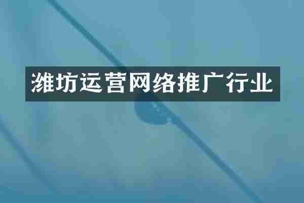 潍坊运营网络推广行业