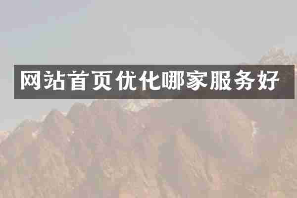 网站首页优化哪家服务好