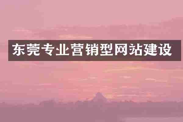 东莞专业营销型网站建设