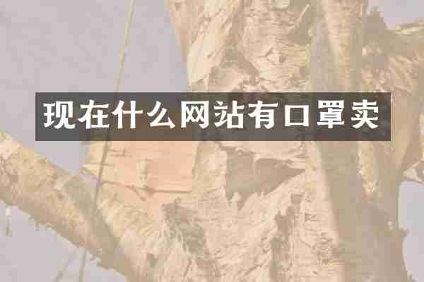 现在什么网站有口罩卖