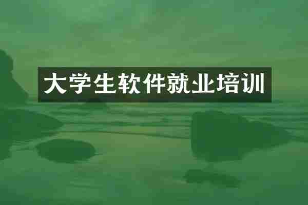 大学生软件就业培训