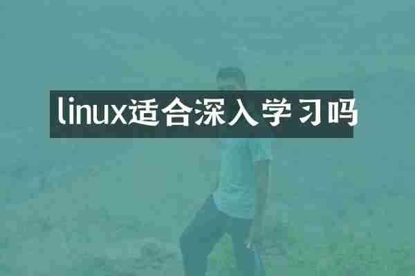 linux适合深入学习吗