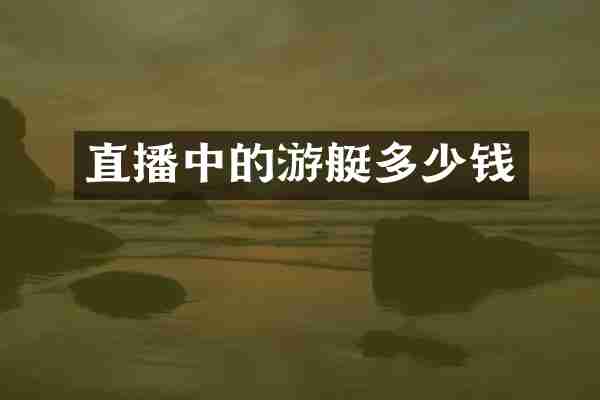 直播中的游艇多少钱