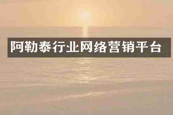 阿勒泰行业网络营销平台