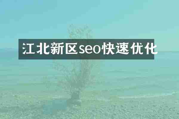 江北新区seo快速优化