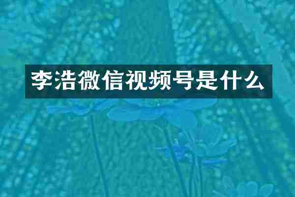 李浩微信视频号是什么