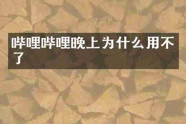哔哩哔哩晚上为什么用不了