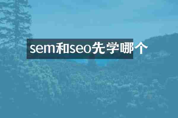 sem和seo先学哪个