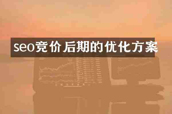 seo竞价后期的优化方案