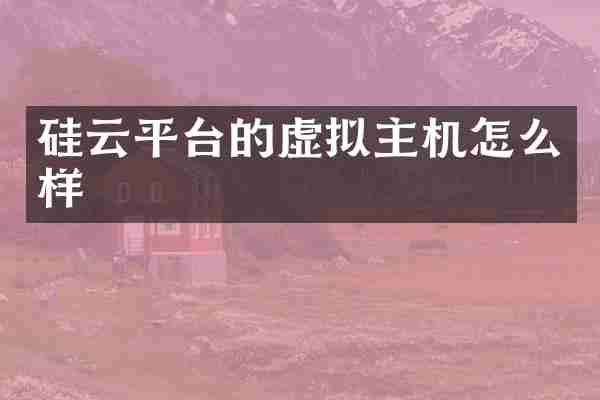 硅云平台的虚拟主机怎么样