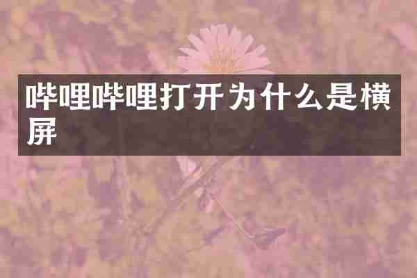 哔哩哔哩打开为什么是横屏