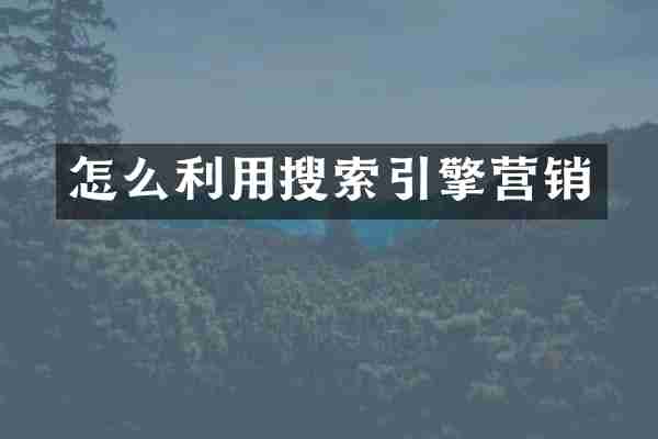 怎么利用搜索引擎营销
