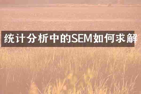 统计分析中的SEM如何求解
