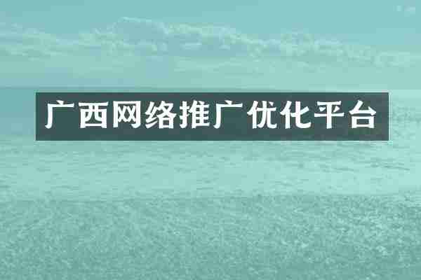 广西网络推广优化平台