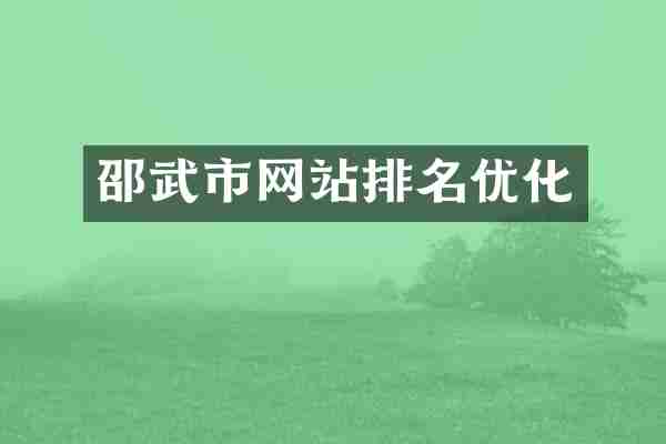 邵武市网站排名优化