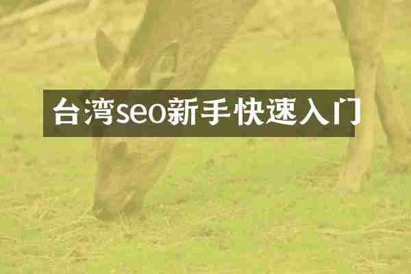 台湾seo新手快速入门