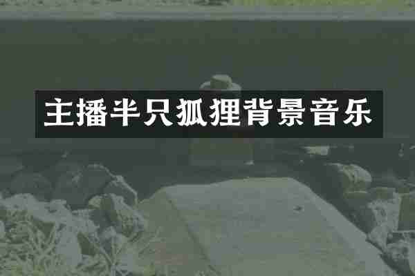 主播半只狐狸背景音乐