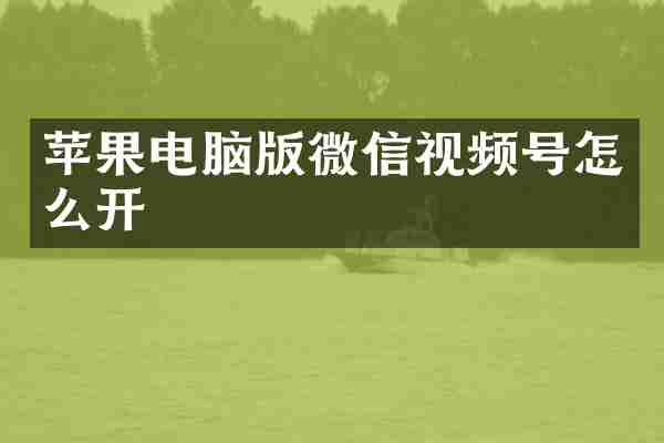 苹果电脑版微信视频号怎么开
