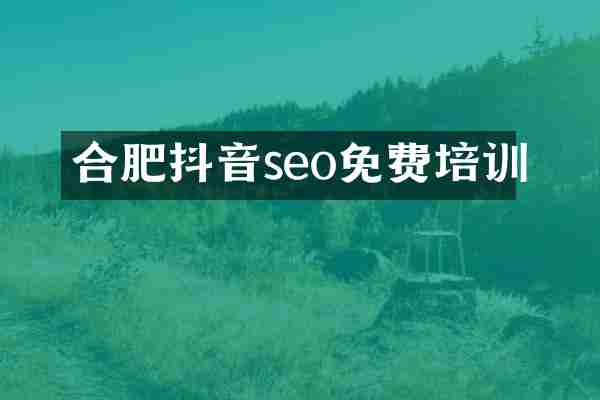 合肥抖音seo免费培训