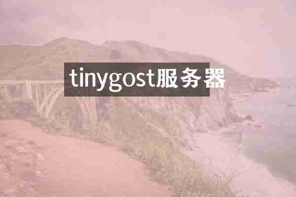 tinygost服务器