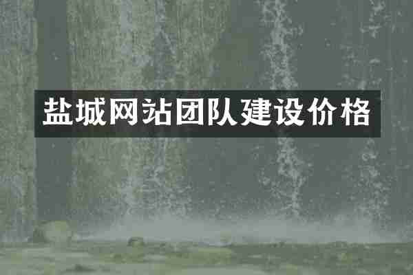 盐城网站团队建设价格