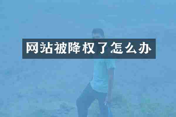网站被降权了怎么办